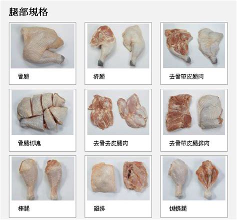 雞肋部位|一隻雞能被分切成幾個部位？雞胸、雞腿、三節翅等有。